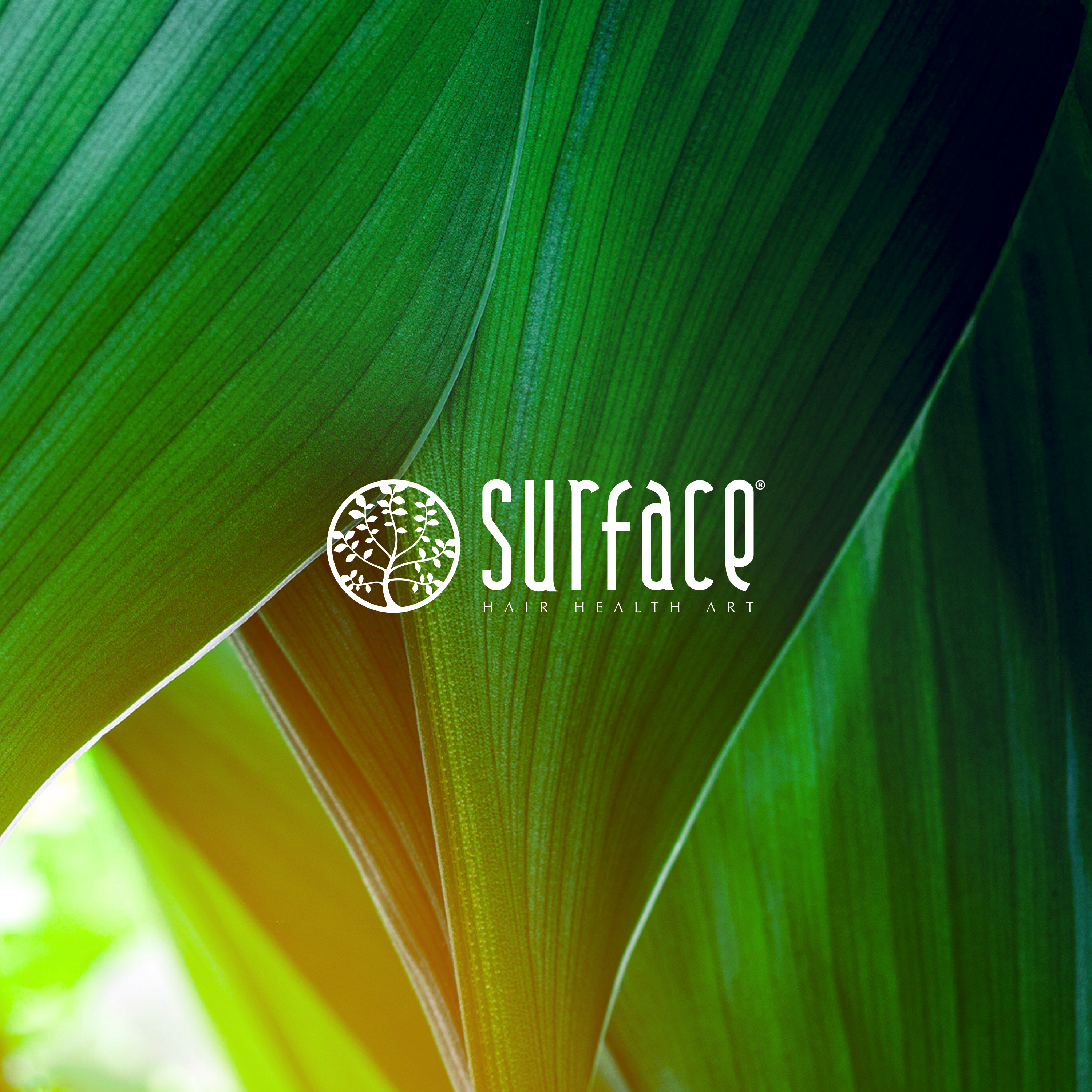 Surface_Hair_Brand_Booklet.png