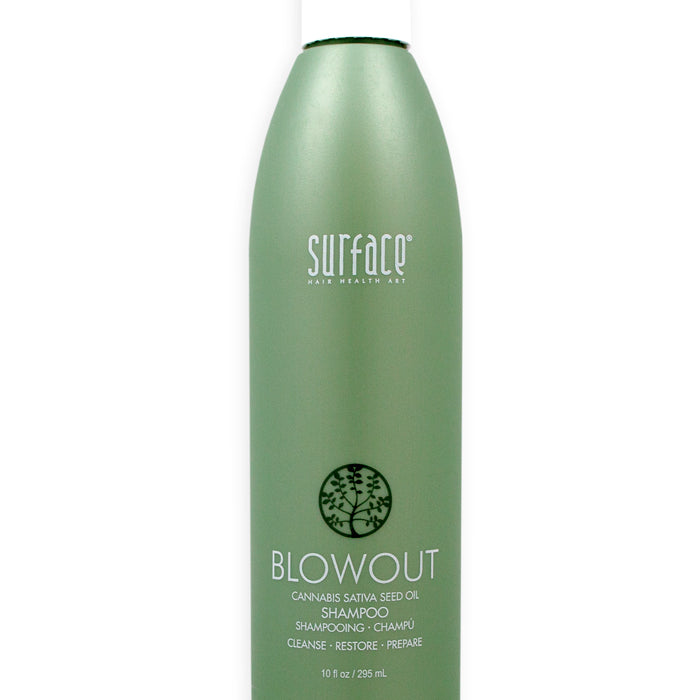 BLOWOUT_SHAMPOO_10OZ.jpg