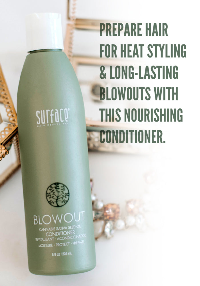 BLOWOUT_CONDITIONER_INFOGRAPHIC_1.jpg