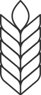 Gluten_Free_99809897-b0e5-464f-83ac-ec0b27e35e8a.png