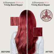 Trinity Bond Repair