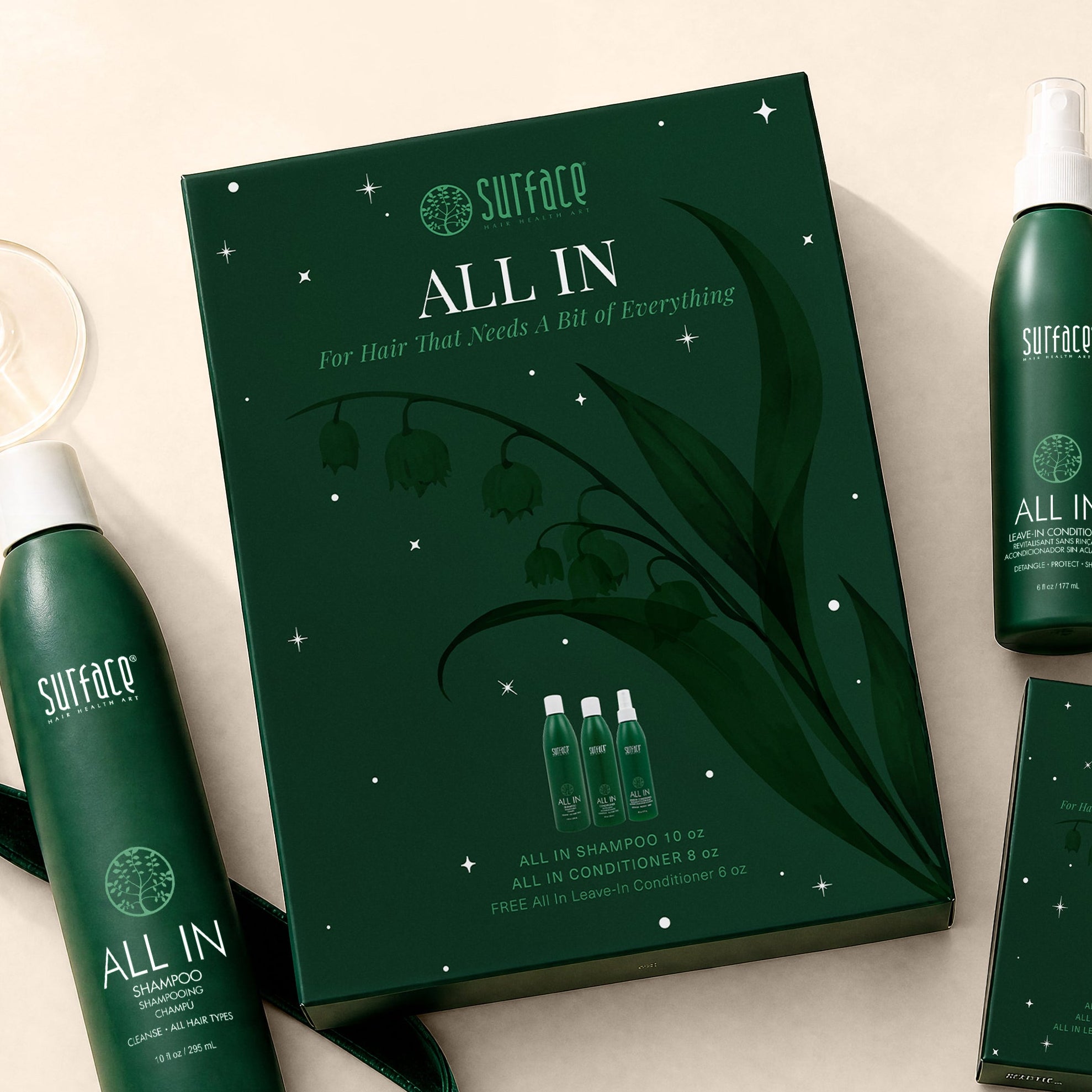 All In Holiday Box