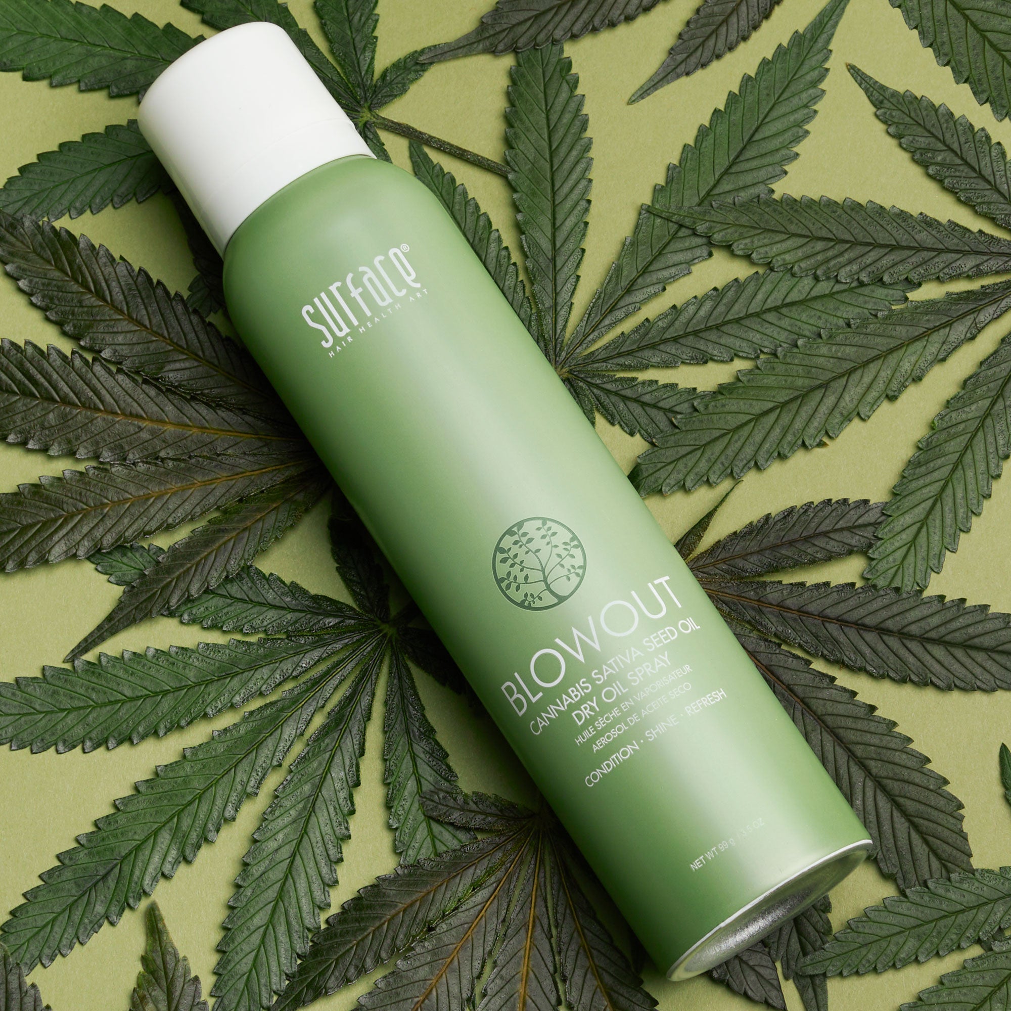 DRY OIL SPRAY